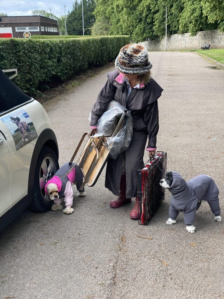 struggling without a K9 Cleancoats Dog Buggy