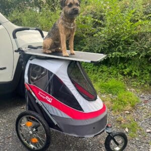 small red Innopet dogshow buggy with Border Terrier on Grooming Top
