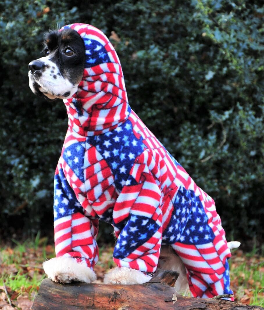 waterproof jacket for<br />
dog - Water resistant dog coat - K9 CleanCoats